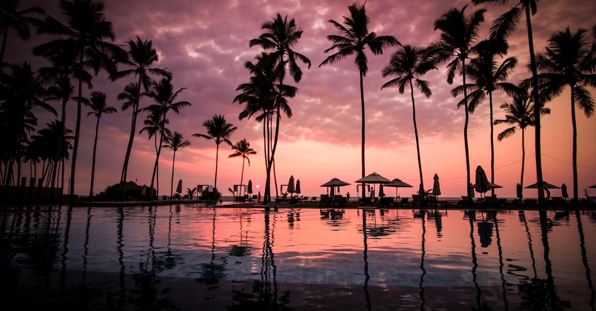 découvrez un véritable paradis, où la beauté naturelle se mêle à des expériences inoubliables. évadez-vous dans nos paysages enchanteurs et vivez des moments de sérénité et de plaisir.