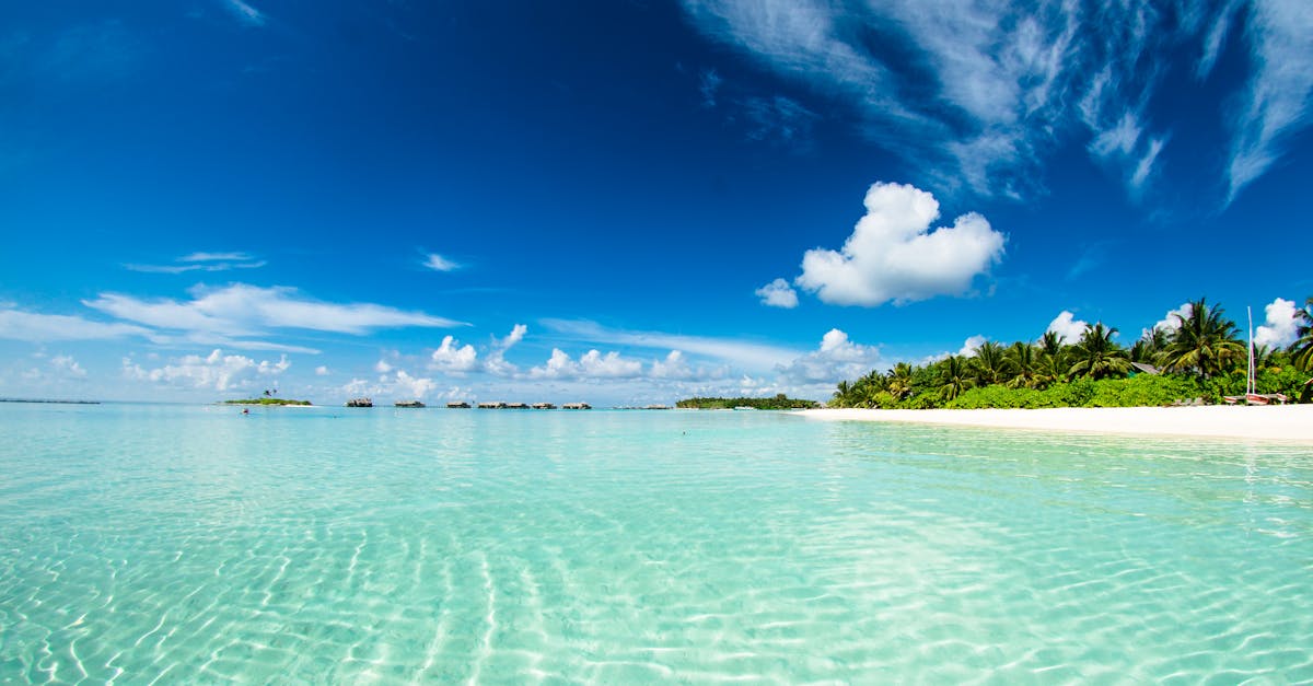 découvrez un véritable paradis sur terre, où la beauté naturelle et la sérénité s'unissent pour créer une expérience inoubliable. évadez-vous dans un monde de splendide paysages, de cultures riches et d'aventures fascinantes.