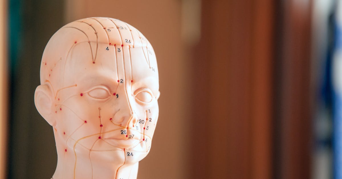 découvrez les bienfaits de l'acupressure, une méthode de soin holistique qui utilise la pression des mains sur des points spécifiques du corps pour soulager le stress, améliorer la circulation et favoriser un mieux-être général. apprenez les techniques et pratiques de cette approche ancestrale pour une vie plus équilibrée.