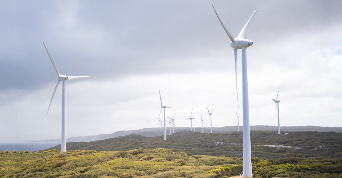 découvrez les dernières innovations et tendances dans le domaine des énergies renouvelables. apprenez comment ces solutions durables peuvent contribuer à un avenir plus vert et réduire notre impact environnemental.