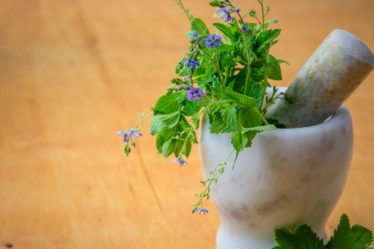découvrez le bien-être au quotidien avec nos conseils, astuces et pratiques de wellness. améliorez votre santé physique et mentale, rechargez votre énergie et trouvez l'harmonie dans votre vie grâce à des techniques et des rituels adaptés à vos besoins.
