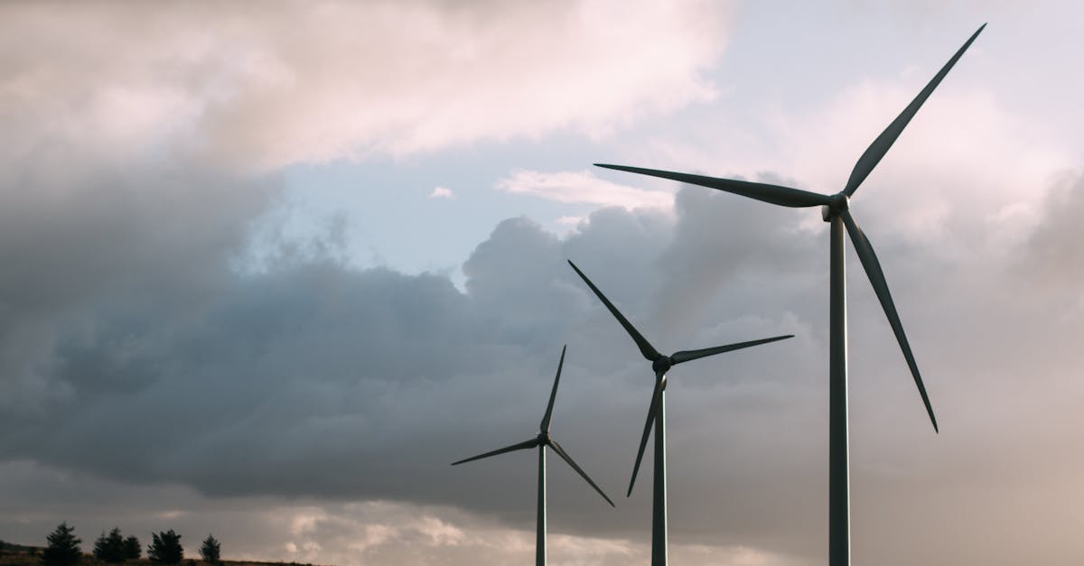 découvrez l'écologie, la science qui étudie les relations entre les êtres vivants et leur environnement. explorez l'impact humain sur la nature et des solutions pour préserver la biodiversité.
