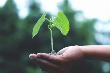 découvrez tout sur l'écologie : actualités, concepts clés, conseils pour préserver l'environnement, comprendre la biodiversité et agir pour la planète au quotidien.