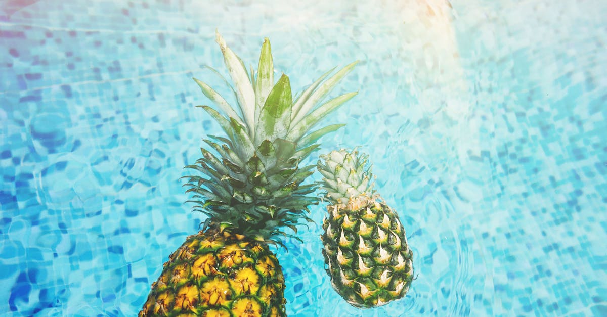 découvrez les bienfaits du soleil sur la santé : vitamine d, bonne humeur, renforcement du système immunitaire et astuces pour profiter du soleil en toute sécurité.