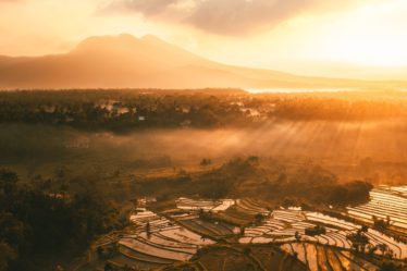 découvrez bali, l’île paradisiaque d’indonésie réputée pour ses plages de rêve, ses rizières luxuriantes, ses temples majestueux et sa culture unique, idéale pour un voyage inoubliable.
