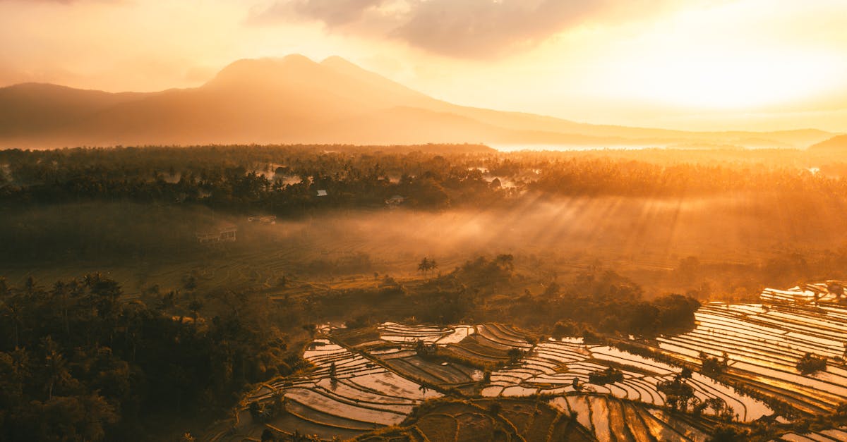 découvrez bali, l’île paradisiaque d’indonésie réputée pour ses plages de rêve, ses rizières luxuriantes, ses temples majestueux et sa culture unique, idéale pour un voyage inoubliable.